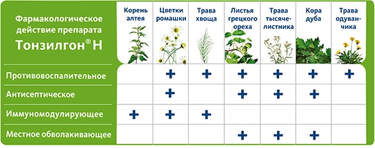 Тонзилгон® Н — оригинальный растительный лекарственный препарат