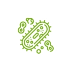 Местные антисептики