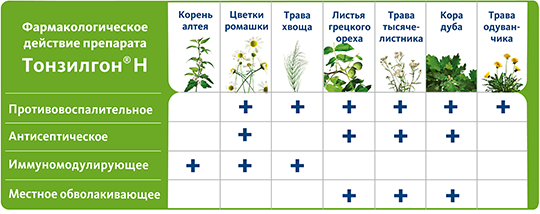 Травы в составе Тонзилгон® Н